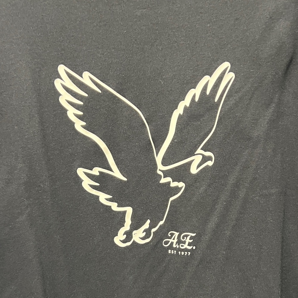 American Eagle Outfitters Men’s Black Long-Sleeve Tee with White Eagle Graphic - Picture 3 of 6